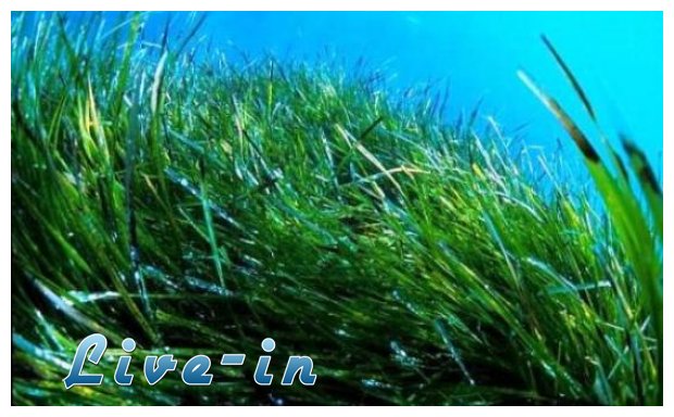 Î¦ÏÎºÎ¹Î±: ÎŸ Î´ÎµÎ¯ÎºÏ„Î·Ï‚ ÎºÎ±Î¸Î±ÏÏŒÏ„Î·Ï„Î±Ï‚ Ï„Î·Ï‚ Î¸Î¬Î»Î±ÏƒÏƒÎ±Ï‚!live-in | Η Έξυπνη, Αντικειμενική και Εναλλακτική Ενημέρωση!