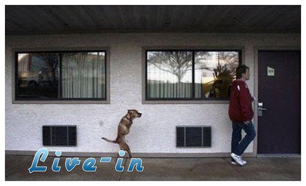 Â«ÎœÎµ Î»Î¯Î³Î· Î Î¯ÏƒÏ„Î·Â»live-in | Η Έξυπνη, Αντικειμενική και Εναλλακτική Ενημέρωση!