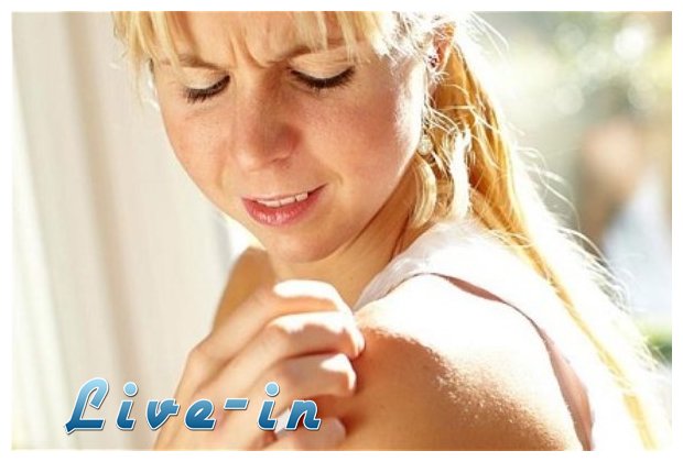 Î•Î¯ÏƒÏ„Îµ... Î¼Î±Î³Î½Î®Ï„Î·Ï‚ Î³Î¹Î± Ï„Î± ÎºÎ¿Ï…Î½Î¿ÏÏ€Î¹Î±; Î”ÎµÎ¯Ï„Îµ Î³Î¹Î±Ï„Î¯!live-in | Η Έξυπνη, Αντικειμενική και Εναλλακτική Ενημέρωση!