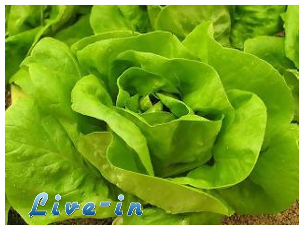 Î”Î¹Î±Ï„Î·ÏÎµÎ¯ÏƒÏ„Îµ Ï†ÏÎ­ÏƒÎºÎ¿ Ï„Î¿ Î¼Î±ÏÎ¿ÏÎ»Î¹live-in | Η Έξυπνη, Αντικειμενική και Εναλλακτική Ενημέρωση!