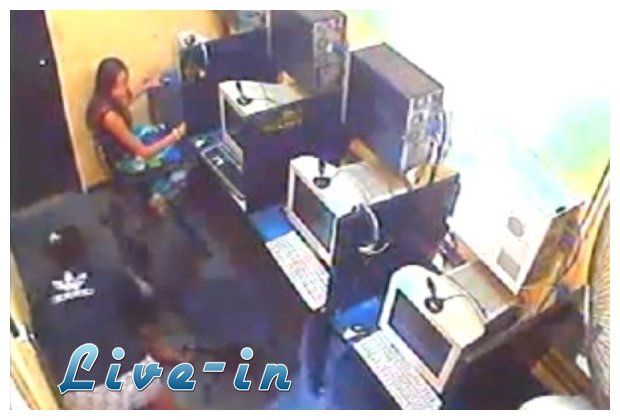 Î‘Ï„Î¬ÏÎ±Ï‡Î· ÎºÎ¿Ï€Î­Î»Î± ÏƒÎµÏÏ†Î¬ÏÎµÎ¹ ÏƒÏ„Î¿ ÎŠÎ½Ï„ÎµÏÎ½ÎµÏ„ ÎµÎ½ÏŽ Î´Î¯Ï€Î»Î± Ï„Î·Ï‚ Î³Î¯Î½ÎµÏ„Î±Î¹ Î¼Î¬Ï‡Î·live-in | Η Έξυπνη, Αντικειμενική και Εναλλακτική Ενημέρωση!