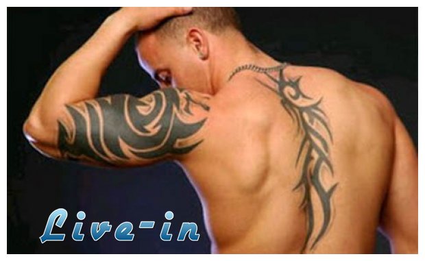 Î¤Î±Ï„Î¿Ï…Î¬Î¶: Î ÏŽÏ‚ Î½Î± ÎµÏ€Î¹Î»Î­Î¾ÎµÏ„Îµ Ï„Î¿ ÎºÎ±Ï„Î¬Î»Î»Î·Î»Î¿ ÏƒÏ‡Î­Î´Î¹Î¿live-in | Η Έξυπνη, Αντικειμενική και Εναλλακτική Ενημέρωση!