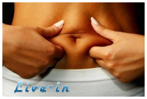 ÎŸÎ¹ Ï„ÏÎ¿Ï†Î­Ï‚ Ï€Î¿Ï… ÎºÎ±Î¯Î½Îµ Ï„Î¿ Î»Î¯Ï€Î¿Ï‚ Ï„Î·Ï‚ ÎºÎ¿Î¹Î»Î¹Î¬Ï‚live-in | Η Έξυπνη, Αντικειμενική και Εναλλακτική Ενημέρωση!