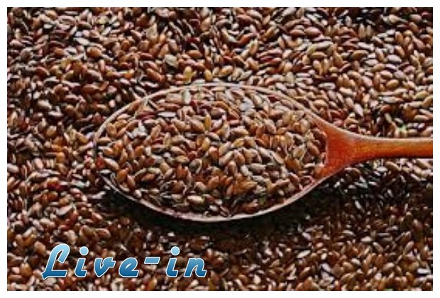 Î˜ÏÎ±ÏÏƒÎ· Î¼Îµ Ï„Î· Î½Î­Î± Î¼ÏŒÎ´Î± ÏƒÏ„Î· Î´Î¹Î±Ï„ÏÎ¿Ï†Î®live-in | Η Έξυπνη, Αντικειμενική και Εναλλακτική Ενημέρωση!