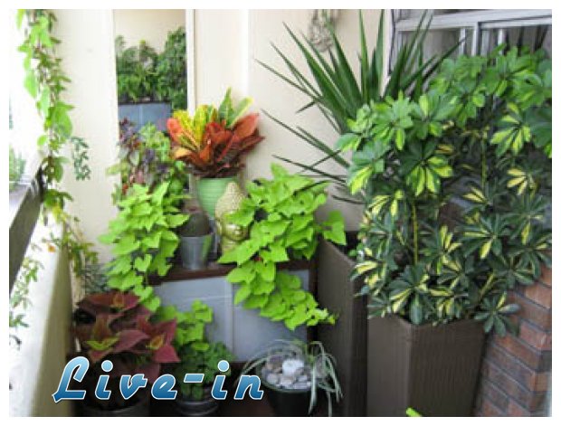 Î¤Î¿ Ï€ÏŒÏ„Î¹ÏƒÎ¼Î± Ï„Ï‰Î½ Ï†Ï…Ï„ÏŽÎ½ Î¼Î±Ï‚ ÏŒÏƒÎ¿ ÎµÎ¯Î¼Î±ÏƒÏ„Îµ Î´Î¹Î±ÎºÎ¿Ï€Î­Ï‚live-in | Η Έξυπνη, Αντικειμενική και Εναλλακτική Ενημέρωση!