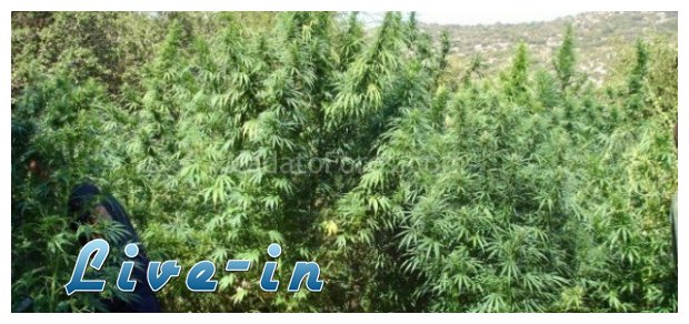 Î‘Ï€  Ï„Î¹Ï‚ ÎºÎ±Î»Î»Î¹Î­ÏÎ³ÎµÎ¹ÎµÏ‚ Ï‡Î±ÏƒÎ¯Ï‚ Ï„Î¿ 50% Ï„Î¿Ï… Î‘Î•Î  Ï„Î·Ï‚ Î‘Î»Î²Î±Î½Î¯Î±Ï‚live-in | Η Έξυπνη, Αντικειμενική και Εναλλακτική Ενημέρωση!