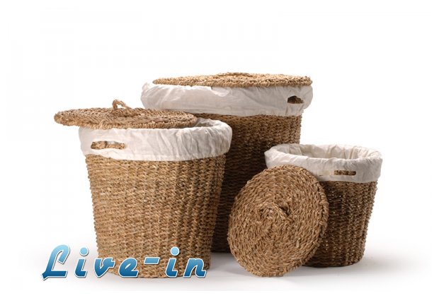 Î¤Î¿ ÎºÎ±Î»Î¬Î¸Î¹ Ï„Ï‰Î½ Î±Ï€Î»ÏÏ„Ï‰Î½ Î¼Ï…ÏÎ¯Î¶ÎµÎ¹ Î¬ÏƒÏ‡Î·Î¼Î±; Î”ÎµÏ‚ Ï„Î¹ Î¼Ï€Î¿ÏÎµÎ¯Ï‚ Î½Î± ÎºÎ¬Î½ÎµÎ¹Ï‚...live-in | Η Έξυπνη, Αντικειμενική και Εναλλακτική Ενημέρωση!