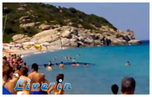 Î’Î¯Î½Ï„ÎµÎ¿ Ï€Î¿Ï… Â«ÏƒÎ¿ÎºÎ¬ÏÎµÎ¹Â»! Î”ÎµÎ¯Ï„Îµ Ï„Î¹ ÎµÎ¼Ï†Î±Î½Î¯ÏƒÏ„Î·ÎºÎµ ÏƒÎµ Ï€Î±ÏÎ±Î»Î¯Î± Ï„Î·Ï‚ Î§Î±Î»ÎºÎ¹Î´Î¹ÎºÎ®Ï‚live-in | Η Έξυπνη, Αντικειμενική και Εναλλακτική Ενημέρωση!