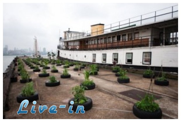 ÎˆÎ¾Î¹ â€œÏ„ÏÎµÎ»Î¬â€ Î¿Î¹ÎºÎ¿Î»Î¿Î³Î¹ÎºÎ¬ ÏƒÏ€Î¯Ï„Î¹Î± Ï€Î¿Ï… ÎºÎ±Ï„Î¿Î¹ÎºÎ¿ÏÎ½Ï„Î±Î¹ (photo gallery)live-in | Η Έξυπνη, Αντικειμενική και Εναλλακτική Ενημέρωση!