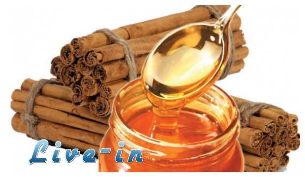 ÎœÎ­Î»Î¹ ÎºÎ±Î¹ ÎºÎ±Î½Î­Î»Î±: o Â«Ï†ÏŒÎ²Î¿Ï‚Â» ÎºÎ±Î¹ Â«Ï„ÏÏŒÎ¼Î¿Ï‚Â» Ï„Ï‰Î½ Ï†Î±ÏÎ¼Î±ÎºÎ¿Î²Î¹Î¿Î¼Î·Ï‡Î±Î½Î¹ÏŽÎ½live-in | Η Έξυπνη, Αντικειμενική και Εναλλακτική Ενημέρωση!