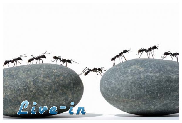 Î‘Ï€Î±Î»Î»Î¬Î¾Î¿Ï… Î±Ï€ÏŒ Ï„Î± Î¼Ï…ÏÎ¼Î®Î³ÎºÎ¹Î± Î¼Îµ 3 Î±Ï€Î»Î¬ tips!live-in | Η Έξυπνη, Αντικειμενική και Εναλλακτική Ενημέρωση!