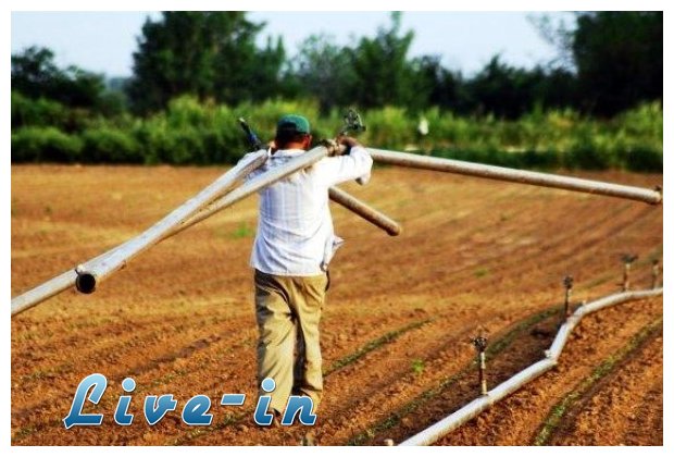 TÎ± 28 ÎµÏ€Î±Î³Î³Î­Î»Î¼Î±Ï„Î± Ï€Î¿Ï… ÎµÎ½Î¹ÏƒÏ‡ÏÎµÎ¹ Ï„Î¿ Î•Î£Î Î‘live-in | Η Έξυπνη, Αντικειμενική και Εναλλακτική Ενημέρωση!