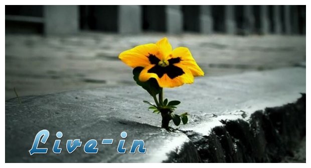 12 Î±Î»Î®Î¸ÎµÎ¹ÎµÏ‚ Ï€Î¿Ï… Î¸Î± Î­Ï€ÏÎµÏ€Îµ Î½Î± Î¾Î­ÏÎµÎ¹Ï‚ Î¼Î­Ï‡ÏÎ¹ Ï„ÏŽÏÎ±live-in | Η Έξυπνη, Αντικειμενική και Εναλλακτική Ενημέρωση!