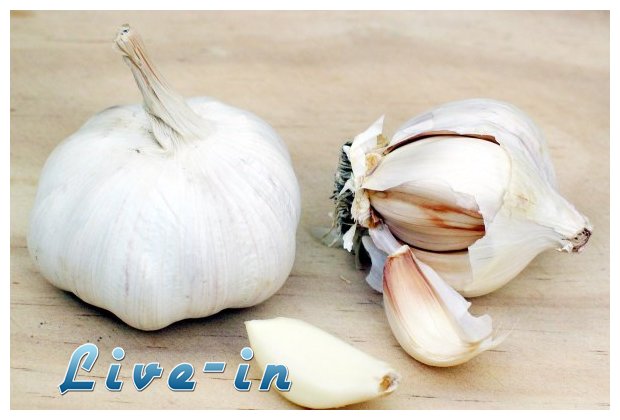 Î ÏŽÏ‚ Ï„Î¿ ÏƒÎºÏŒÏÎ´Î¿ ÎµÎ¾Î¿Î½Ï„ÏŽÎ½ÎµÎ¹ ÏŒÎ»ÎµÏ‚ Ï„Î¹Ï‚ Î±ÏÏÏŽÏƒÏ„Î¹ÎµÏ‚ ÎºÎ±Î¹ ÎµÎ¯Î½Î±Î¹ Ï…Ï€ÎµÏÏ„ÏÎ¿Ï†Î® Î´ÏÎ½Î±Î¼Î·Ï‚live-in | Η Έξυπνη, Αντικειμενική και Εναλλακτική Ενημέρωση!