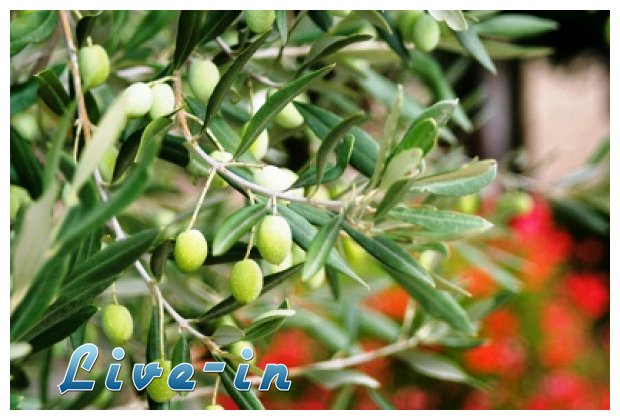Î£ÎµÎ¼Î¹Î½Î¬ÏÎ¹Î± Î³Î¹Î± Î½Î­Î¿Ï…Ï‚ Ï€Î¿Ï… Î¸Î­Î»Î¿Ï…Î½ Î½Î± Î´ÏÎ±ÏƒÏ„Î·ÏÎ¹Î¿Ï€Î¿Î¹Î·Î¸Î¿ÏÎ½ ÏƒÏ„Î¿Î½ Ï€ÏÏ‰Ï„Î¿Î³ÎµÎ½Î® Ï„Î¿Î¼Î­Î±!live-in | Η Έξυπνη, Αντικειμενική και Εναλλακτική Ενημέρωση!