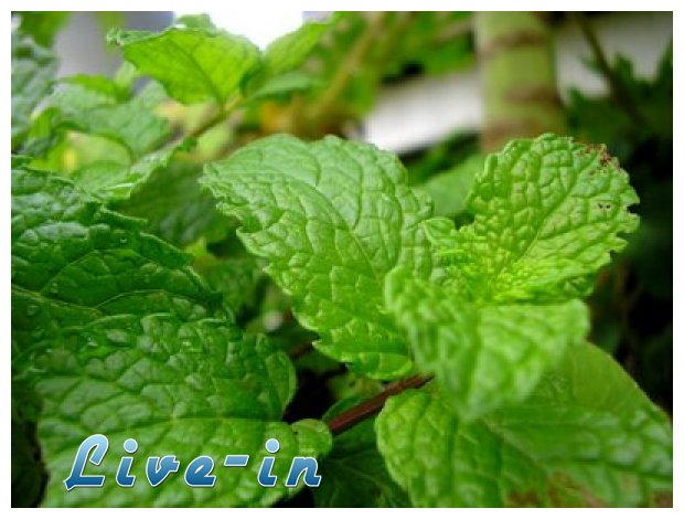 Î”Ï…ÏŒÏƒÎ¼Î¿Ï‚: Î¬ÏÏ‰Î¼Î± & Î³ÎµÏÏƒÎ·!live-in | Η Έξυπνη, Αντικειμενική και Εναλλακτική Ενημέρωση!