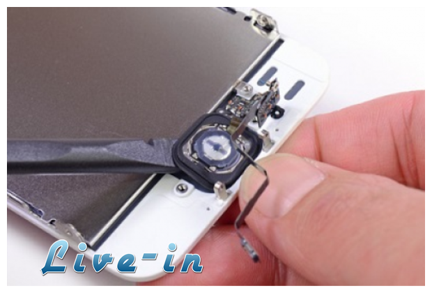 Î— Î±Î½Î±Ï„Î¿Î¼Î¯Î± Ï„Î¿Ï… iPhone 5Slive-in | Η Έξυπνη, Αντικειμενική και Εναλλακτική Ενημέρωση!