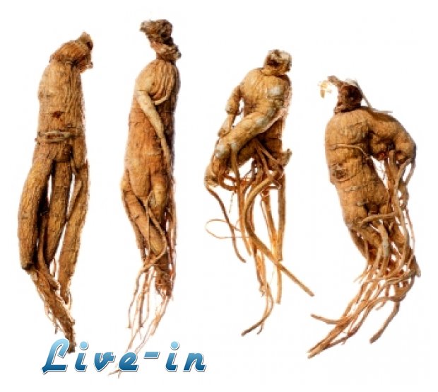 Î— Î±Ï€Î¿Î¾Î·ÏÎ±Î¼Î­Î½Î· ÏÎ¯Î¶Î± Ï„Î¿Ï… ginseng Î²Î¿Î·Î¸Î¬ÎµÎ¹ ÏƒÏ„Î·Î½ Î±Ï€ÏŽÎ»ÎµÎ¹Î± Î²Î¬ÏÎ¿Ï…Ï‚;live-in | Η Έξυπνη, Αντικειμενική και Εναλλακτική Ενημέρωση!