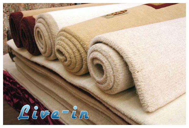 Î”Î­ÎºÎ± ÎµÏ€Î¹ÎºÎ¯Î½Î´Ï…Î½Î± Ï€ÏÎ¬Î³Î¼Î±Ï„Î± Ï€Î¿Ï… ÏŒÎ»Î¿Î¹ Î­Ï‡Î¿Ï…Î¼Îµ ÏƒÏ€Î¯Ï„Î¹ Î¼Î±Ï‚!live-in | Η Έξυπνη, Αντικειμενική και Εναλλακτική Ενημέρωση!