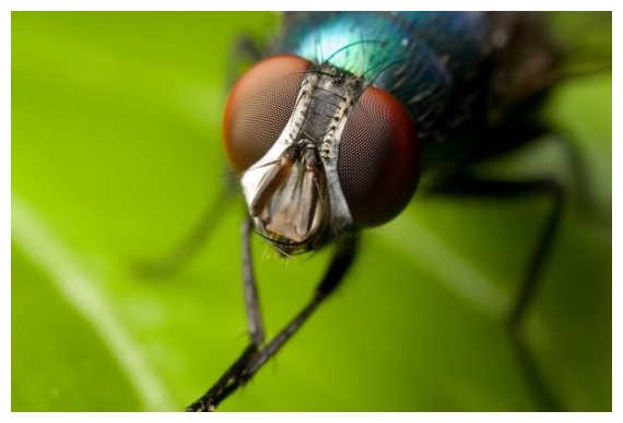 ÎÎ± Ï„ÎµÎ»Î¹ÎºÎ¬ Î³Î¹Î±Ï„Î¯ Î´ÎµÎ½ Ï€ÎµÏ„Ï…Ï‡Î±Î¯Î½Î¿Ï…Î¼Îµ Ï„Î· Î¼ÏÎ³Î±live-in | Η Έξυπνη, Αντικειμενική και Εναλλακτική Ενημέρωση!