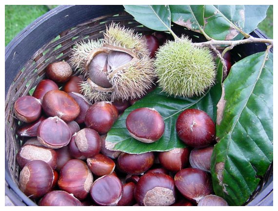 ÎšÎ¬ÏƒÏ„Î±Î½Î±: Î§ÎµÎ¹Î¼ÎµÏÎ¹Î½ÏŒ Î³ÎµÏ…ÏƒÏ„Î¹ÎºÏŒ ÏƒÎ½Î±Îº!live-in | Η Έξυπνη, Αντικειμενική και Εναλλακτική Ενημέρωση!