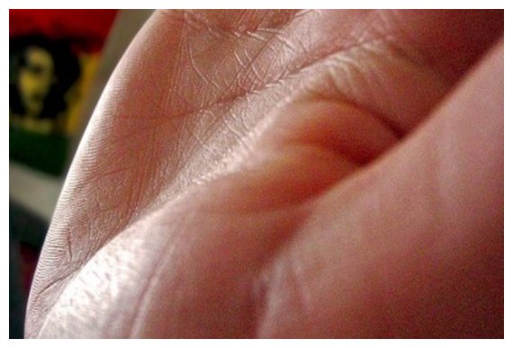 Î“Î¹Î±Ï„Î¯ Î­Ï‡Î¿Ï…Î¼Îµ Î³ÏÎ±Î¼Î¼Î­Ï‚ ÏƒÏ„Î¹Ï‚ Ï€Î±Î»Î¬Î¼ÎµÏ‚ Ï„Ï‰Î½ Ï‡ÎµÏÎ¹ÏŽÎ½;live-in | Η Έξυπνη, Αντικειμενική και Εναλλακτική Ενημέρωση!