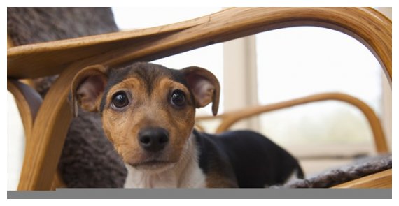 Î— ÎµÎ½Î¿Ï‡Î® Ï†Î±Î¯Î½ÎµÏ„Î±Î¹ ÏƒÏ„Î¿ Î²Î»Î­Î¼Î¼Î± Ï„Î¿Ï…Ï‚live-in | Η Έξυπνη, Αντικειμενική και Εναλλακτική Ενημέρωση!