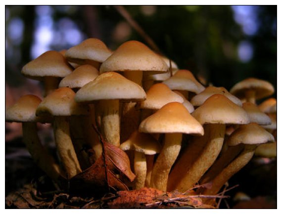 OÎ¹ 8 Ï„ÏÎ¿Ï†Î­Ï‚ Ï€Î¿Ï… Î±Î½ÎµÎ²Î¬Î¶Î¿Ï…Î½ Ï„Î¿ ÎºÎ­Ï†Î¹ ÎºÎ±Î¹ Î´Î¹ÏŽÏ‡Î½Î¿Ï…Î½ Ï„Î·Î½ ÎºÎ±Ï„Î¬Î¸Î»Î¹ÏˆÎ·live-in | Η Έξυπνη, Αντικειμενική και Εναλλακτική Ενημέρωση!