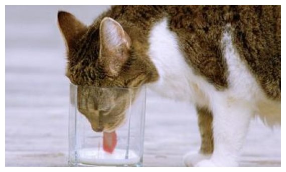 Î“Î¹Î±Ï„Î¯ Î´ÎµÎ½ Î»ÎµÏÏŽÎ½ÎµÏ„Î±Î¹ ÏŒÏ„Î±Î½ ÏÎ¿Ï…Ï†Î¬ÎµÎ¹ Î· Î³Î¬Ï„Î±;live-in | Η Έξυπνη, Αντικειμενική και Εναλλακτική Ενημέρωση!