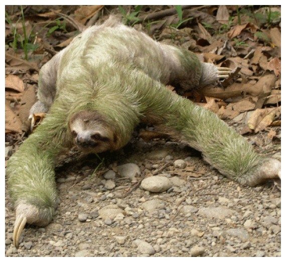 ÎˆÎ½Î± Â«Î’ÏÎ±Î´ÏÏ€Î¿Ï…Ï‚Â» Ï€ÏÎ¿ÏƒÏ€Î±Î¸ÎµÎ¯ Î½Î± Î´Î¹Î±ÏƒÏ‡Î¯ÏƒÎµÎ¹ Ï„Î¿ Î´ÏÏŒÎ¼Î¿live-in | Η Έξυπνη, Αντικειμενική και Εναλλακτική Ενημέρωση!