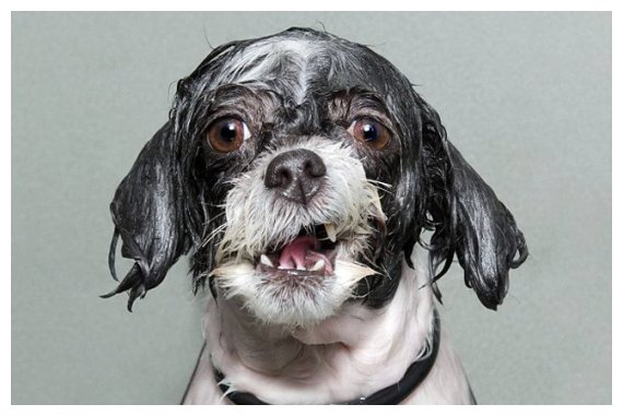 Î’ÏÎ¬Ï‡Î·ÎºÎ±Î½, Ï€ÏŒÎ¶Î±ÏÎ±Î½ ÎºÎ±Î¹ Î¹Î´Î¿Ï Ï„Î¿ Î±Ï€Î¿Ï„Î­Î»ÎµÏƒÎ¼Î±.live-in | Η Έξυπνη, Αντικειμενική και Εναλλακτική Ενημέρωση!