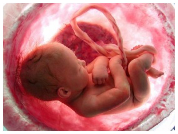 Î— Î¶Ï‰Î® ÏƒÏ„Î· Î¼Î®Ï„ÏÎ±: 9 Î¼Î®Î½ÎµÏ‚ ÏƒÎµ 4 Î»ÎµÏ€Ï„Î¬. Î”ÎµÎ¯Ï„Îµ Ï„Î¿ Î²Î¯Î½Ï„ÎµÎ¿!live-in | Η Έξυπνη, Αντικειμενική και Εναλλακτική Ενημέρωση!