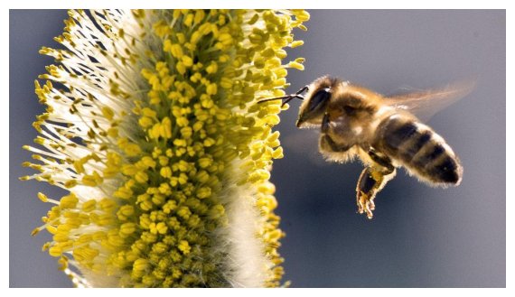 Î Î¬ÏÏ„Îµ Ï€Î¿Î»ÏÏ„Î¹Î¼ÎµÏ‚ Î¿Ï…ÏƒÎ¯ÎµÏ‚ Î±Ï€ÏŒ Ï„Î· Î³ÏÏÎ·!live-in | Η Έξυπνη, Αντικειμενική και Εναλλακτική Ενημέρωση!