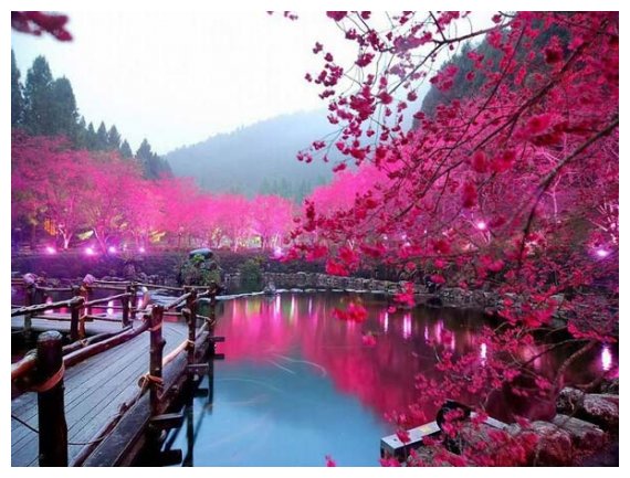 SACURA: Î— ÎµÎºÏ€Î»Î·ÎºÏ„Î¹ÎºÎ® Î»Î¯Î¼Î½Î· Î¼Îµ Ï„Î¹Ï‚ ÎºÎµÏÎ±ÏƒÎ¹Î­Ï‚!live-in | Η Έξυπνη, Αντικειμενική και Εναλλακτική Ενημέρωση!