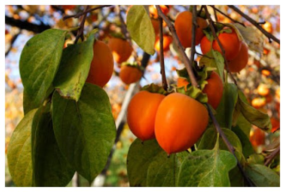 ÎŸ Î»Ï‰Ï„ÏŒÏ‚ ÎºÎ¬Î½ÎµÎ¹ ÎºÎ±Î»ÏŒ ÏƒÏ„Î·Î½ Ï…Î³ÎµÎ¯Î±;live-in | Η Έξυπνη, Αντικειμενική και Εναλλακτική Ενημέρωση!