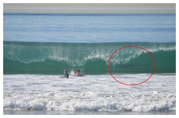 ÎœÎ¹Î± Î±Ï€Î¯ÏƒÏ„ÎµÏ…Ï„Î· Ï†Ï‰Ï„Î¿Î³ÏÎ±Ï†Î¯Î±. Î£Îµ Î±Ï€ÏŒÏƒÏ„Î±ÏƒÎ· Î±Î½Î±Ï€Î½Î¿Î®Ï‚ Î±Ï€ÏŒ ÎºÎ±ÏÏ‡Î±ÏÎ¯Î±;live-in | Η Έξυπνη, Αντικειμενική και Εναλλακτική Ενημέρωση!