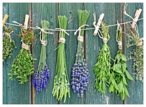 Î Î­Î½Ï„Îµ Î²ÏŒÏ„Î±Î½Î± Î³Î¹Î± Î³ÏÎ®Î³Î¿ÏÎ· Î±Ï€Î¿Ï„Î¿Î¾Î¯Î½Ï‰ÏƒÎ· Î±Ï€ÏŒ Ï„Î¹Ï‚ "Ï…Ï€ÎµÏÎ²Î¿Î»Î­Ï‚ Ï„Ï‰Î½ Î³Î¹Î¿ÏÏ„ÏŽÎ½"live-in | Η Έξυπνη, Αντικειμενική και Εναλλακτική Ενημέρωση!