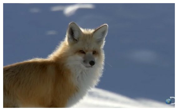 Î‘Î Î™Î£Î¤Î•Î¥Î¤ÎŸ Î’Î™ÎÎ¤Î•ÎŸ: Î Ï‰Ï‚ Î¼Î¹Î± Î±Î»ÎµÏ€Î¿Ï ÎºÏ…Î½Î·Î³Î¬ Ï€Î¿Î½Ï„Î¯ÎºÎ¹Î± ÏƒÏ„Î± Ï‡Î¹ÏŒÎ½Î¹Î±live-in | Η Έξυπνη, Αντικειμενική και Εναλλακτική Ενημέρωση!