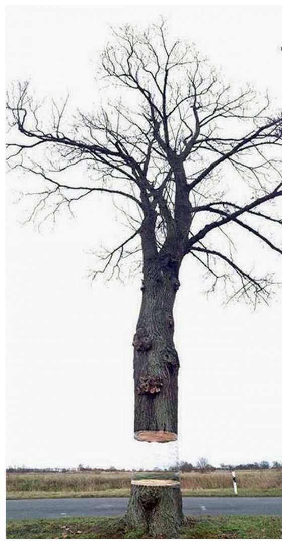 Î¤Î¿ Î´Î­Î½Ï„ÏÎ¿ Ï€Î¿Ï…... Î±Î¹Ï‰ÏÎµÎ¯Ï„Î±Î¹. Î ÏÏ‰Ï„ÏŒÏ„Ï…Ï€Î· Î¿Ï†Î¸Î±Î»Î¼Î±Ï€Î¬Ï„Î·!live-in | Η Έξυπνη, Αντικειμενική και Εναλλακτική Ενημέρωση!