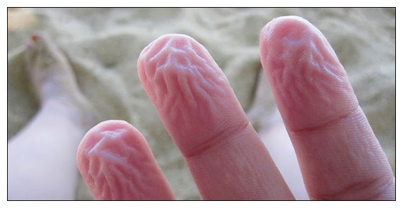 Î“Î¹Î±Ï„Î¯ Î¶Î±ÏÏŽÎ½Î¿Ï…Î½ Ï„Î± Î´Î¬Ï‡Ï„Ï…Î»Î± Î¼Î±Ï‚ ÏŒÏ„Î±Î½ Î²ÏÎ¯ÏƒÎºÎ¿Î½Ï„Î±Î¹ ÏƒÏ„Î¿ Î½ÎµÏÏŒlive-in | Η Έξυπνη, Αντικειμενική και Εναλλακτική Ενημέρωση!