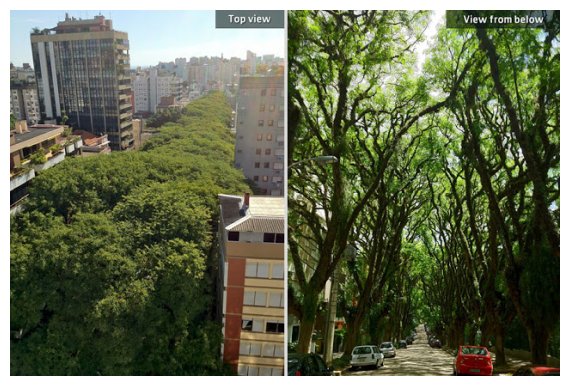 Î‘Ï…Ï„ÏŒÏ‚ ÎµÎ¯Î½Î±Î¹ Î¿ Î¿Î¼Î¿ÏÏ†ÏŒÏ„ÎµÏÎ¿Ï‚ Î´ÏÏŒÎ¼Î¿Ï‚ Ï„Î¿Ï… ÎºÏŒÏƒÎ¼Î¿Ï…!live-in | Η Έξυπνη, Αντικειμενική και Εναλλακτική Ενημέρωση!