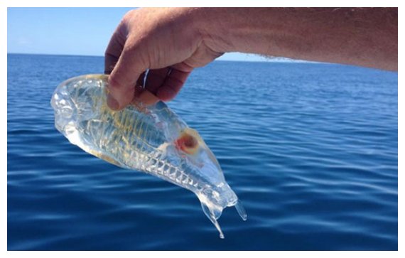 Î¤Î¿ Î´Î¹Î±Ï†Î±Î½Î­Ï‚ Ï€Î»Î¬ÏƒÎ¼Î± Ï„Î·Ï‚ Î¸Î¬Î»Î±ÏƒÏƒÎ±Ï‚!live-in | Η Έξυπνη, Αντικειμενική και Εναλλακτική Ενημέρωση!