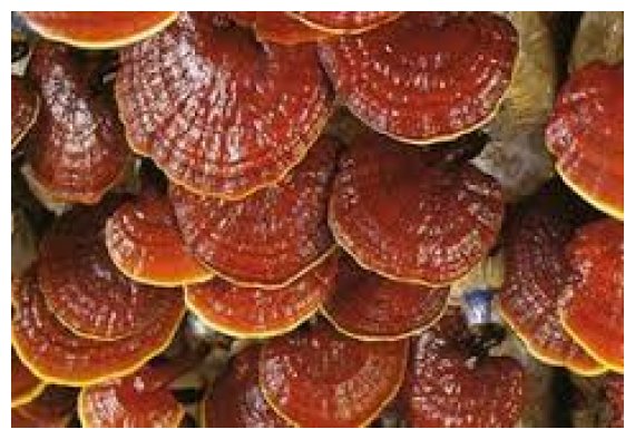 Î¤Î¿ ÏƒÏ€Î¬Î½Î¹Î¿ Î¼Î±Î½Î¹Ï„Î¬ÏÎ¹ Ï„Î·Ï‚ Î±Î¸Î±Î½Î±ÏƒÎ¯Î±Ï‚ Ï†Ï…Ï„ÏÏŽÎ½ÎµÎ¹ ÏƒÏ„Î·Î½ ÎµÎ»Î»Î·Î½Î¹ÎºÎ® Î³Î·live-in | Η Έξυπνη, Αντικειμενική και Εναλλακτική Ενημέρωση!