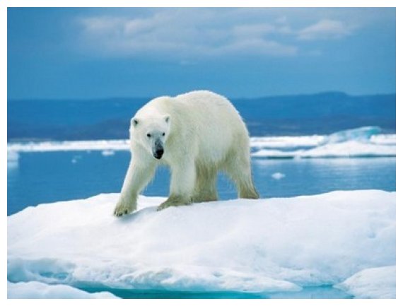 Î£Ï„Î¿Î½ Î‘ÏÎºÏ„Î¹ÎºÏŒ ÎšÏÎºÎ»Î¿ Î¸Î± Ï†Ï„Î¬ÏƒÎµÎ¹ Ï„Î¿ Google Street Viewlive-in | Η Έξυπνη, Αντικειμενική και Εναλλακτική Ενημέρωση!