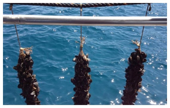 Î‘Ï€ÏŒÏˆÎµÎ¹Ï‚ ÎºÎ±Ï„Î±Ï„Î­Î¸Î·ÎºÎ±Î½ Î³Î¹Î± Ï„Î¹Ï‚ Î¼Ï…Î´Î¿ÎºÎ±Î»Î»Î¹Î­ÏÎ³ÎµÎ¹ÎµÏ‚ ÏƒÏ„Î· Î². Î Î¹ÎµÏÎ¯Î±, ÏŒÏ‡Î¹ ÏŒÎ¼Ï‰Ï‚ ÎºÎ±Î¹ Î»ÏÏƒÎµÎ¹Ï‚live-in | Η Έξυπνη, Αντικειμενική και Εναλλακτική Ενημέρωση!