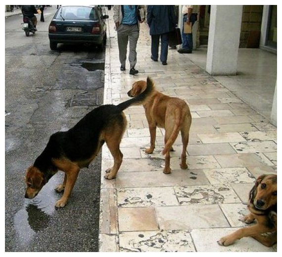 Î£Ï…Î¶Î®Ï„Î·ÏƒÎ· Î³Î¹Î± Ï„Î± Î±Î´Î­ÏƒÏ€Î¿Ï„Î± Î¶ÏŽÎ± ÏƒÎ®Î¼ÎµÏÎ± ÏƒÏ„Î¿ Î”Î®Î¼Î¿ Î ÏÎ´Î½Î±Ï‚-ÎšÎ¿Î»Î¹Î½Î´ÏÎ¿Ïlive-in | Η Έξυπνη, Αντικειμενική και Εναλλακτική Ενημέρωση!