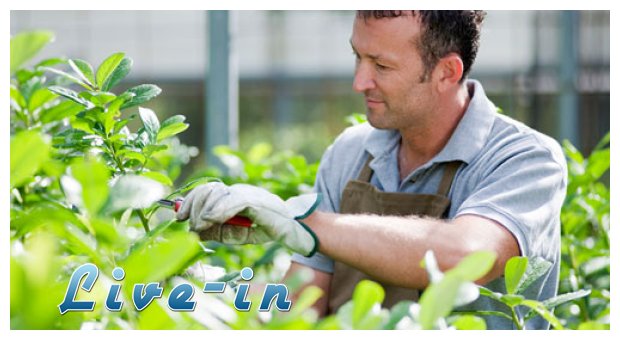 Î£Ï…Î¼Î²Î¿Ï…Î»Î­Ï‚ Ï„Î¿Ï… ÎºÎ±Î»Î¿Ï ÎºÎ·Ï€Î¿Ï…ÏÎ¿Ï (Î¼Î­ÏÎ¿Ï‚ 1Î¿)live-in | Η Έξυπνη, Αντικειμενική και Εναλλακτική Ενημέρωση!