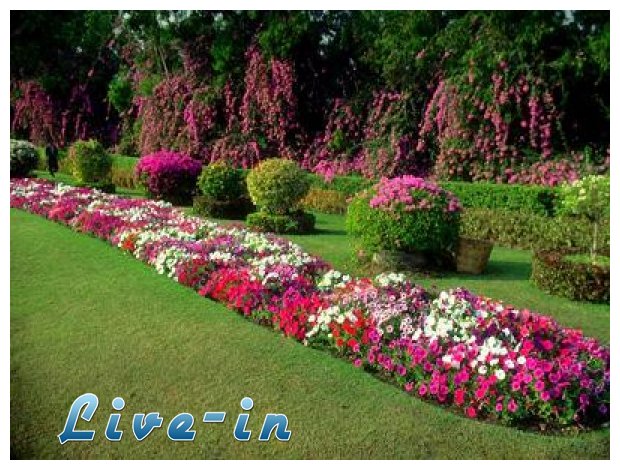 Î£Ï…Î¼Î²Î¿Ï…Î»Î­Ï‚ Ï„Î¿Ï… ÎºÎ±Î»Î¿Ï ÎºÎ·Ï€Î¿Ï…ÏÎ¿Ï (Î¼Î­ÏÎ¿Ï‚ 2Î¿)live-in | Η Έξυπνη, Αντικειμενική και Εναλλακτική Ενημέρωση!