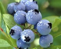 ÎŸÎ¹ Î¥Î Î•Î¡Ï„ÏÎ¿Ï†Î­Ï‚ Ï„Î¿Ï… ÎÎ¿ÎµÎ¼Î²ÏÎ¯Î¿Ï…live-in | Η Έξυπνη, Αντικειμενική και Εναλλακτική Ενημέρωση!