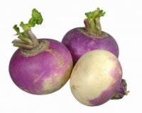 ÎŸÎ¹ Î¥Î Î•Î¡Ï„ÏÎ¿Ï†Î­Ï‚ Ï„Î¿Ï… ÎÎ¿ÎµÎ¼Î²ÏÎ¯Î¿Ï…live-in | Η Έξυπνη, Αντικειμενική και Εναλλακτική Ενημέρωση!